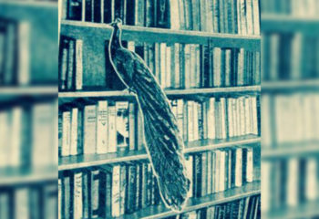 Mijn moeder is altijd dichtbij gebleven