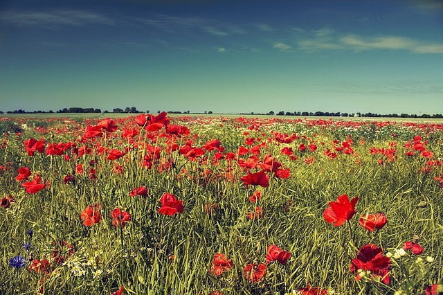 ik wilde hem even bellen